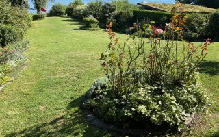 Blick in den Garten zum See 3