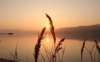 Sonnenaufgang Untersee 2